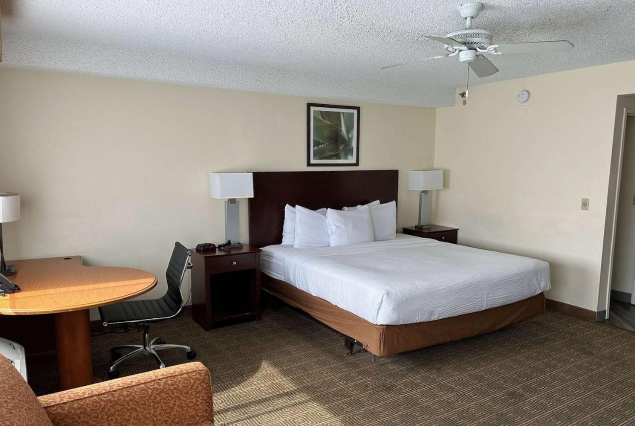 מלון Williamsburg La Quinta By Wyndham Orlando South מראה חיצוני תמונה