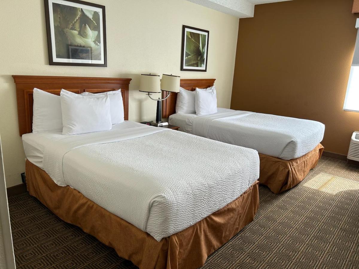 מלון Williamsburg La Quinta By Wyndham Orlando South מראה חיצוני תמונה