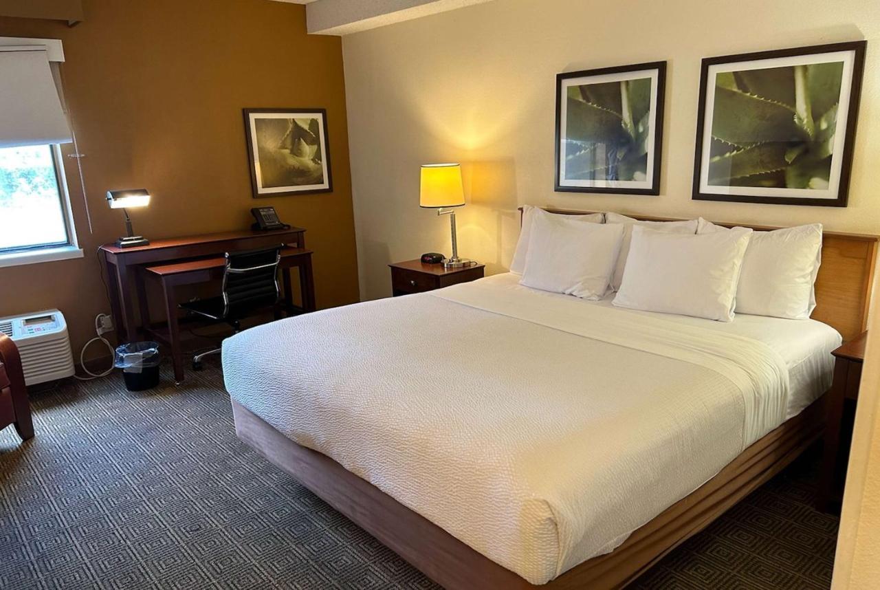 מלון Williamsburg La Quinta By Wyndham Orlando South מראה חיצוני תמונה