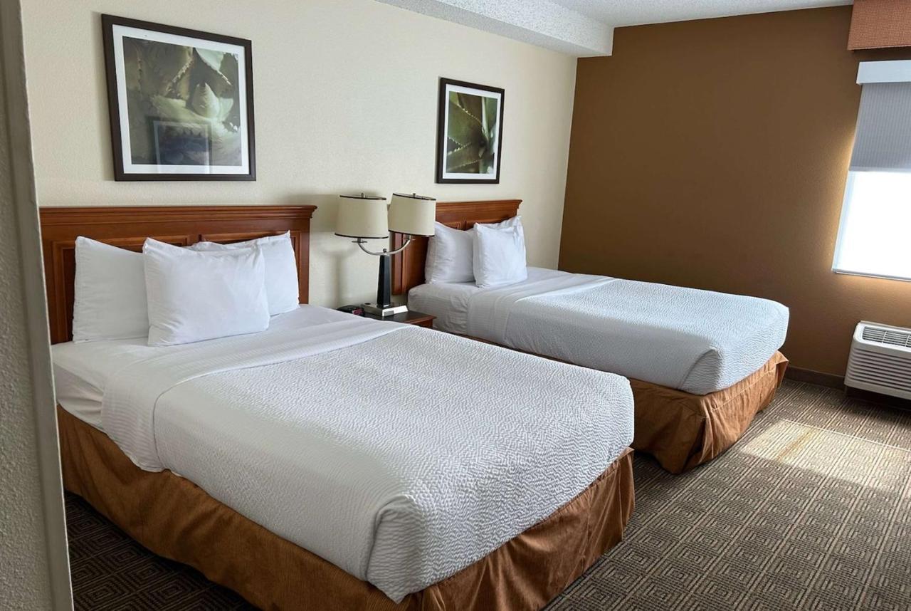 מלון Williamsburg La Quinta By Wyndham Orlando South מראה חיצוני תמונה