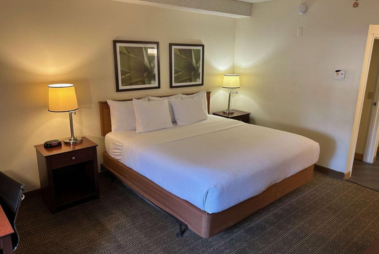 מלון Williamsburg La Quinta By Wyndham Orlando South מראה חיצוני תמונה