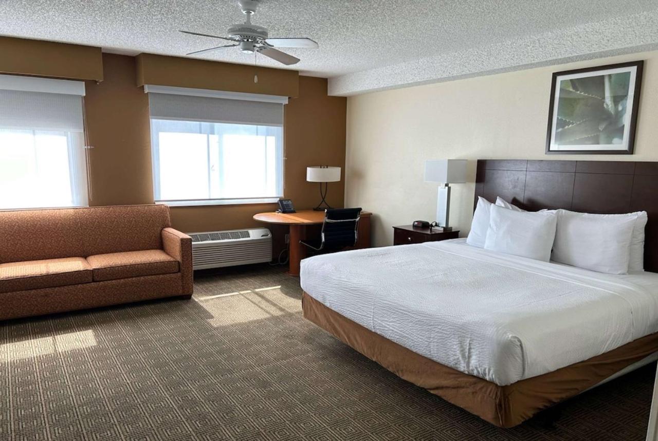 מלון Williamsburg La Quinta By Wyndham Orlando South מראה חיצוני תמונה
