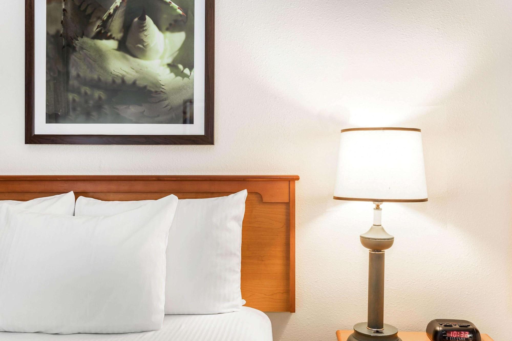 מלון Williamsburg La Quinta By Wyndham Orlando South מראה חיצוני תמונה